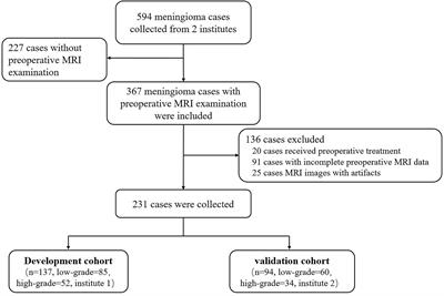 Predicting the grade of meningiomas by clinical–radiological features: A comparison of precontrast and postcontrast MRI